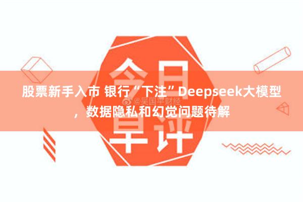 股票新手入市 银行“下注”Deepseek大模型，数据隐私和幻觉问题待解