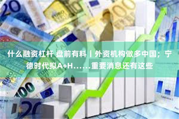 什么融资杠杆 盘前有料丨外资机构做多中国；宁德时代拟A+H……重要消息还有这些