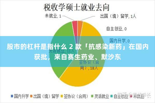 股市的杠杆是指什么 2 款「抗感染新药」在国内获批，来自赛生药业、默沙东