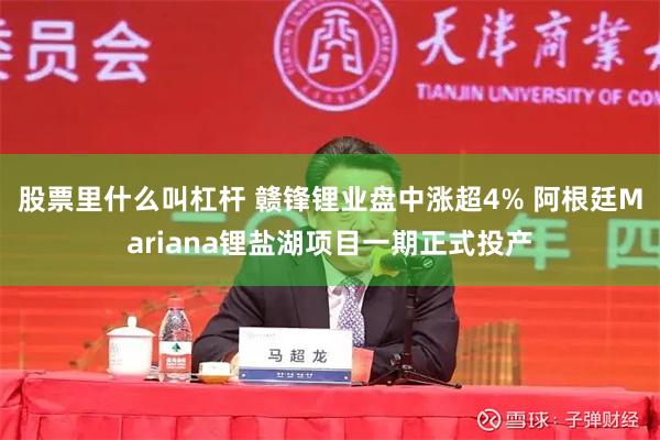 股票里什么叫杠杆 赣锋锂业盘中涨超4% 阿根廷Mariana锂盐湖项目一期正式投产