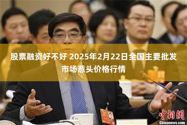 股票融资好不好 2025年2月22日全国主要批发市场葱头价格行情